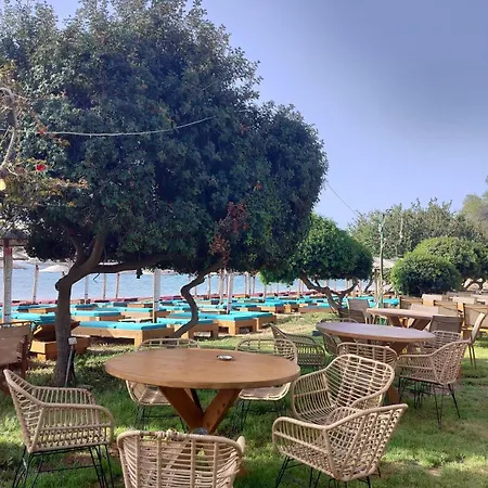 Hébergement de vacances Cap Seafront - Adults Only *